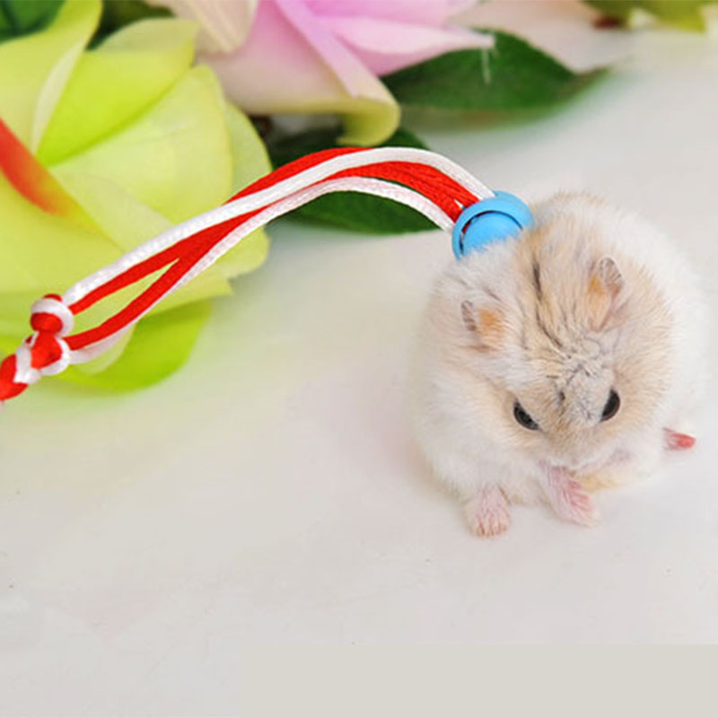 Harnais en coton avec laisse pour Hamster, collier de plomb pour Rat, souris, fournitures pour animaux de compagnie