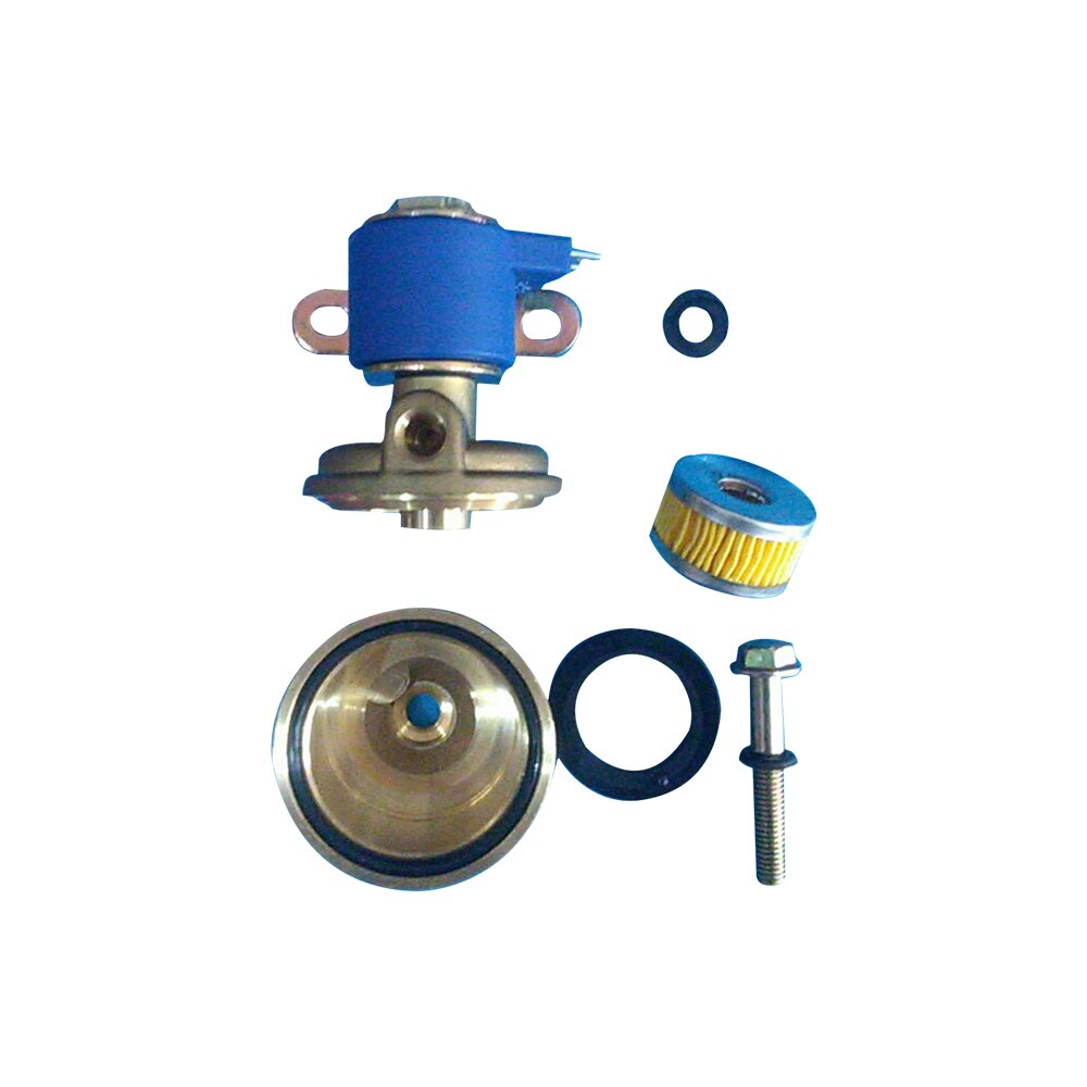 10 Pcs Lovato EV LPG Filter Set - Paper Solenoid Valve