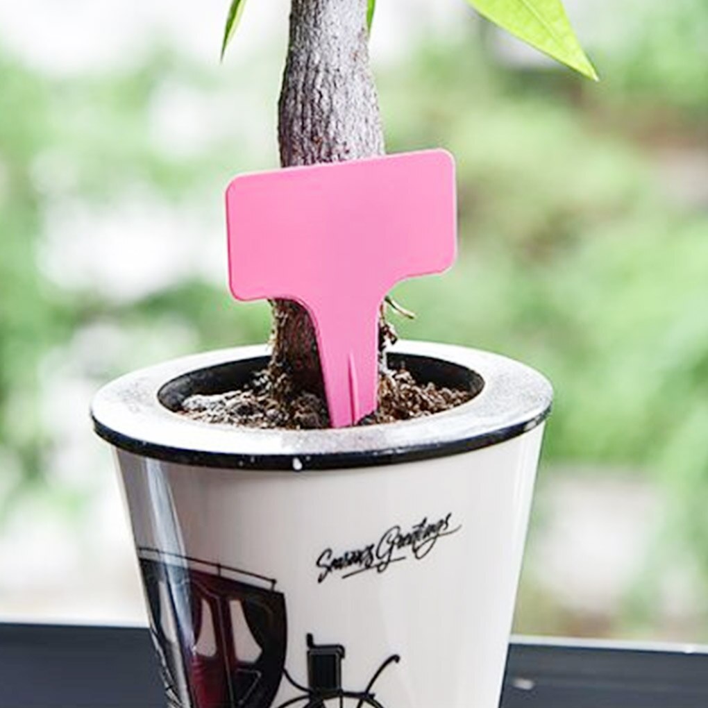 100Pcs Pp Plant Bloem Labels Yard Plant Tabs Nursery Tool Tuinieren Teken 10x6cm