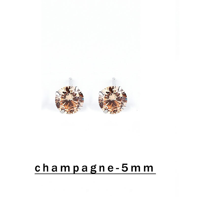 S925 Sterling Ohrringe Pins Kristall Strass 3 4 5 6mm Frauen Klassische Stud Ohrringe Silber Farbe zirkonia perlen Ohrring mädchen: Champagne-5mm