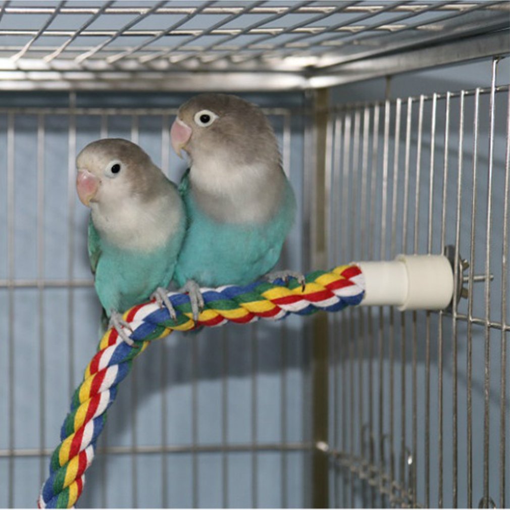 View of Rotate Cotton Rope Bird Perch Stand For Parrot Coc... – Grandado