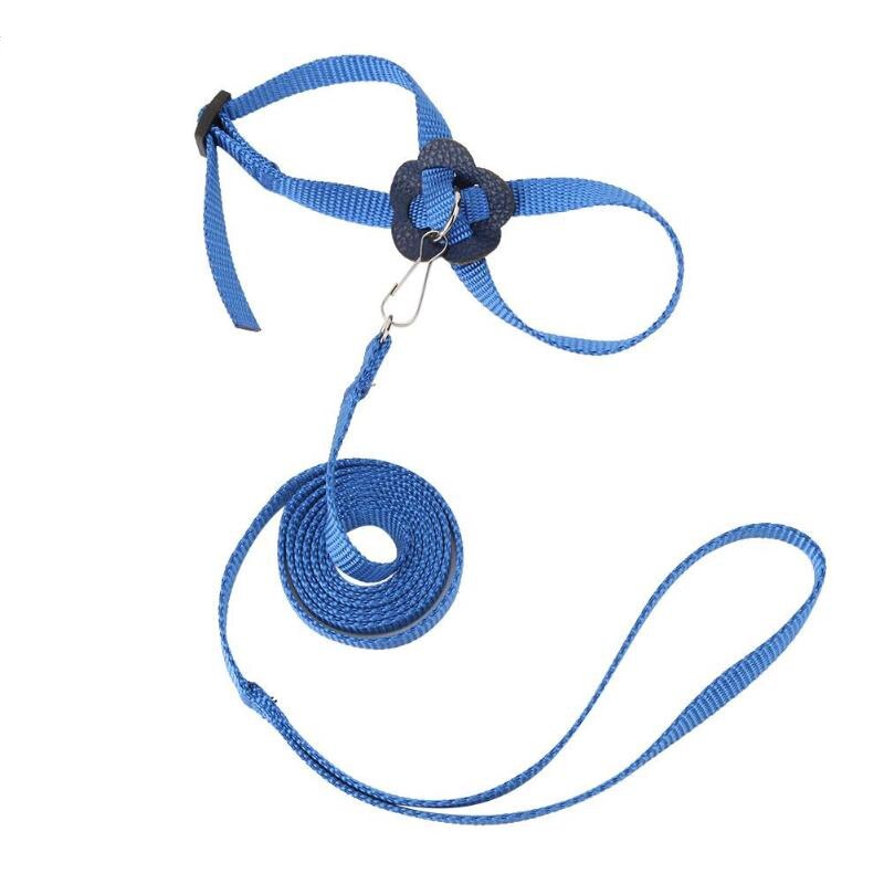 Huisdier Vogel Harness En Leash Verstelbare Parrot Bird Harness Leash Pet Anti Bite Training Touw Zachte Draagbare Huisdier Playthings: Blauw