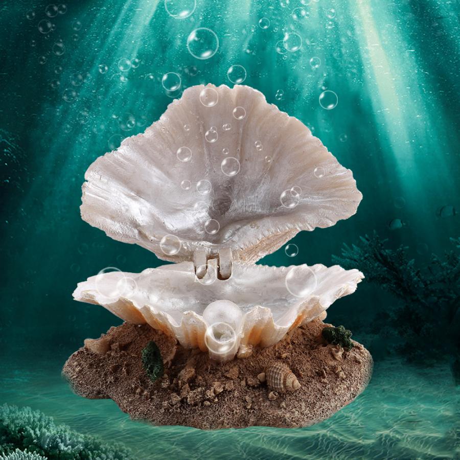 Barboteur en perles de coquillage pour Aquarium, ornement artificiel pour faire des bulles d&#39;air en corail
