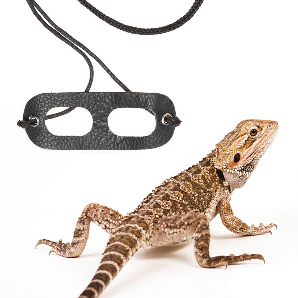 Harnais en cuir réglable pour petit animal de compagnie, avec col en laisse, pour transport en plein air, corde de Traction