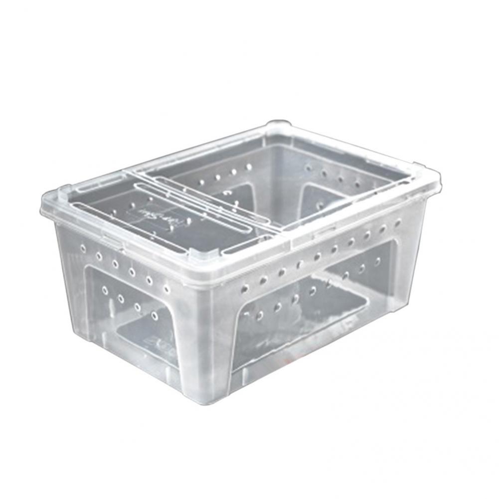 Popular Feeding Box Excellent Clarity Plastic Hatching Box Breeding Box Case for Snake Breeding Box