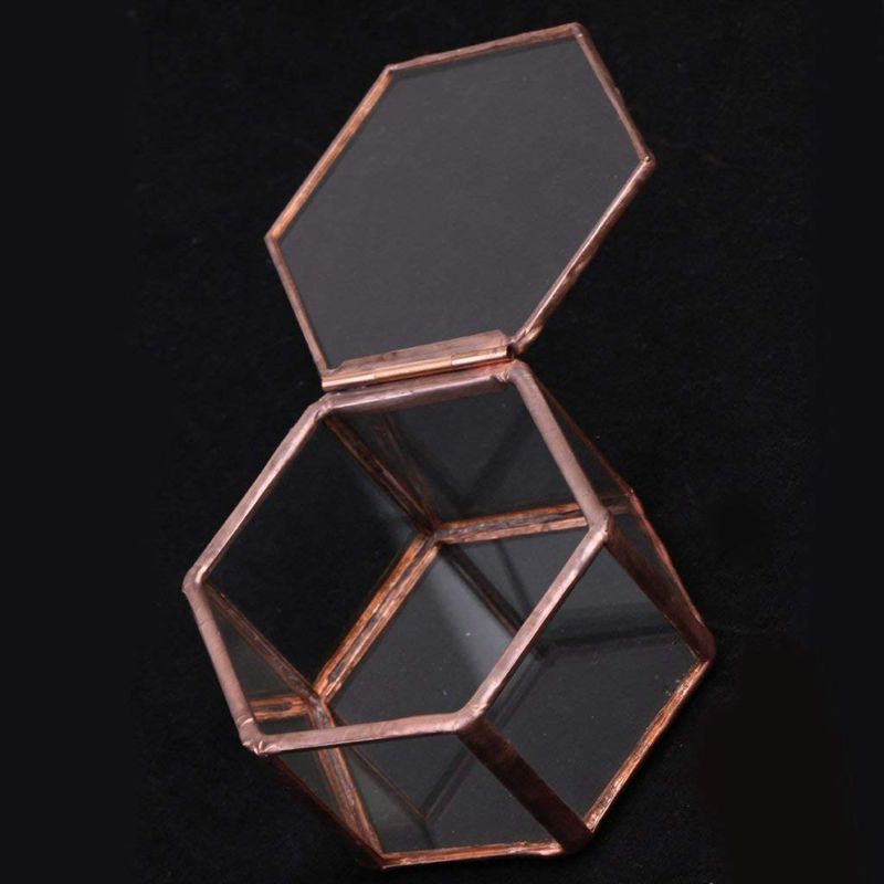 Geometric Glass Terrarium Box Jewelry Box Glass Succulent Plant Pot Deco Hexagon Shape