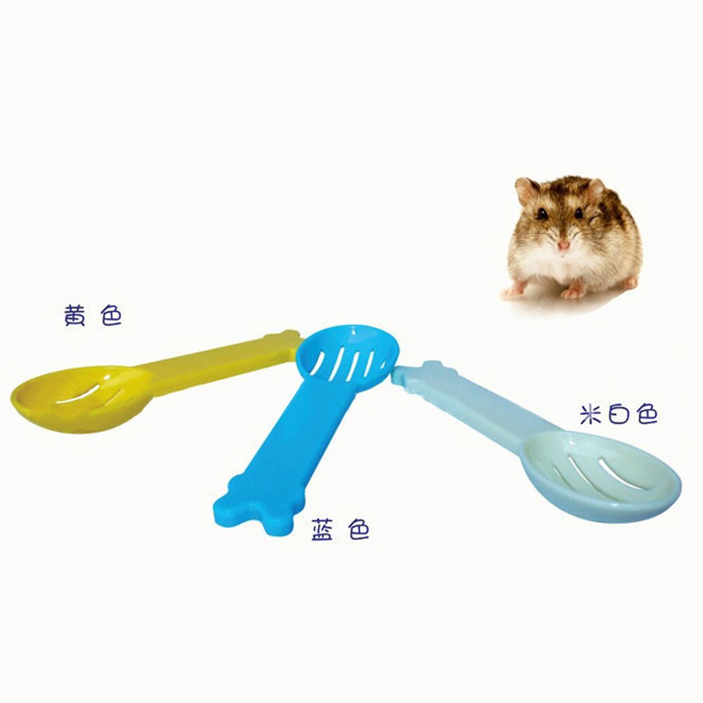 Kleine Huisdieren Bad Lepel Hamster Gewijd Zand Lepel Hamsters Mascota Kleine Huisdieren schoonmaken tool