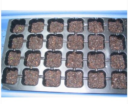 Seedling tray nutrient bowl plastic plug seedling box semillero para germinar planting tray