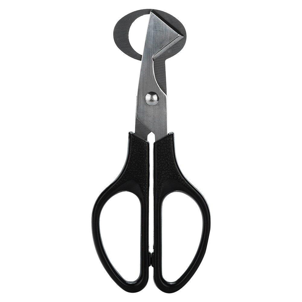 #37 Pigeon Quail Egg Scissors Cracker Opener Cigar Cutter Stainless Steel Tool Scissors Cracker Opener Cutter Cutting Device: Black