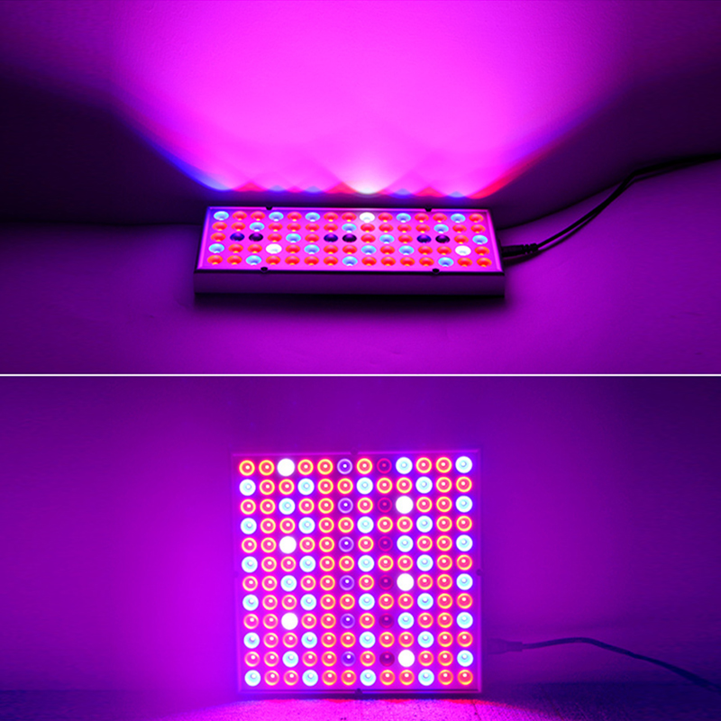 1000W Grow Light Led Full Spectrum Lamp Phyto Lamp AC85-240V Greenhouses Indoor Phyto Lamp Grow Tent Box Phytolamp for Plants