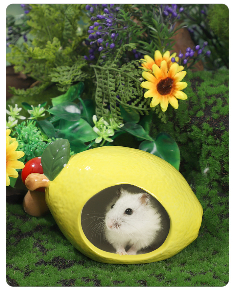 Esconderijo de animales pequeños, Chinchilla de cerámica, Mini cabana, jaula de cueva, accesorios para hámsteres enanos, gerbils y casa de hámster erizo