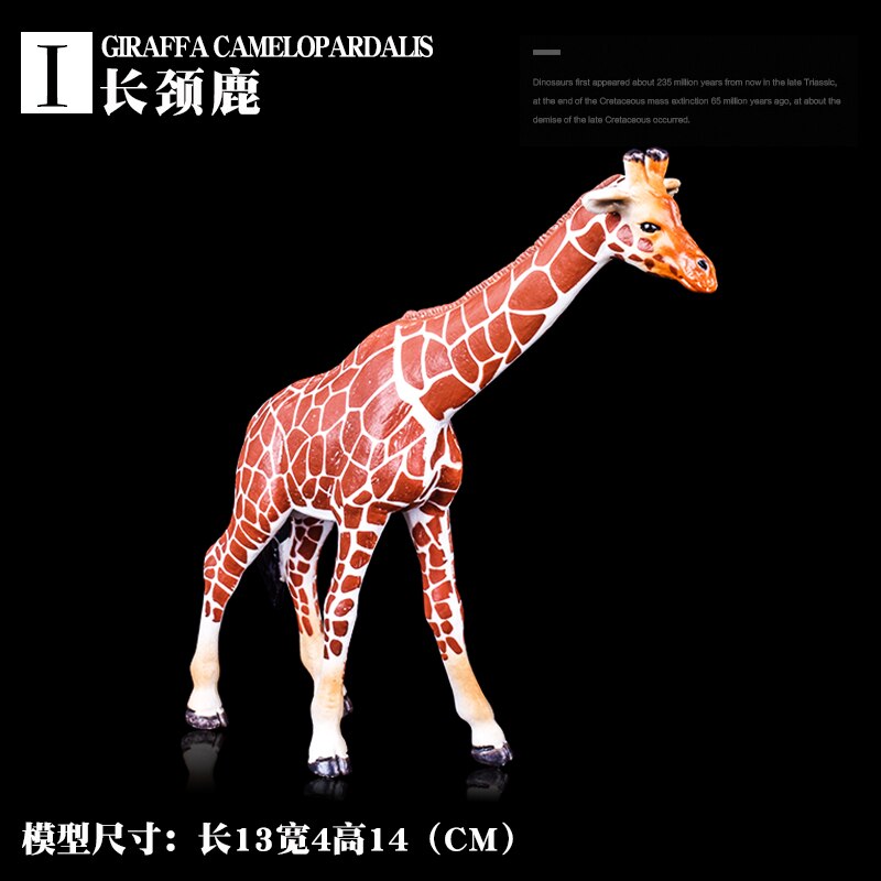 Wild Jungle Zoo Animal Models Collection Model Doll Educational toyWildlife Cognition for children: Giraffe