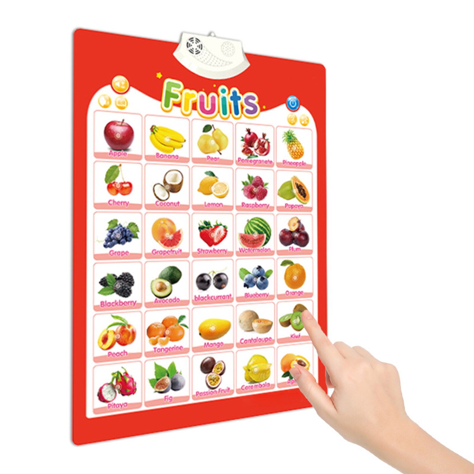 26 Letters Alphabet numbers Vegetables Fruits Animals Vehicle poster English Word Learning school classroom posters decoration