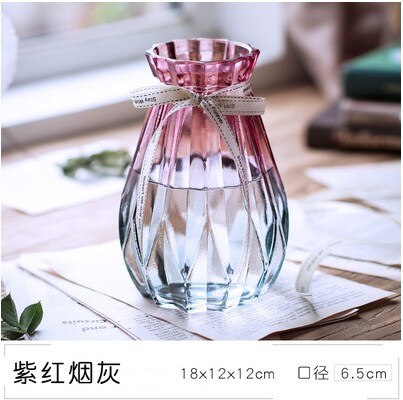 Nordisk glassvase europeisk gjennomsiktig vase blomsterarrangør vannkulturvase husholdningsvase: 02