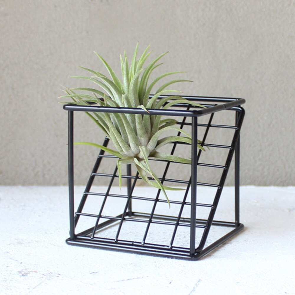 Flower Frame Wrought Iron Square Oblique Grid Line Vase Flower Stand Square Base Plant Display Rack for Office Home Black
