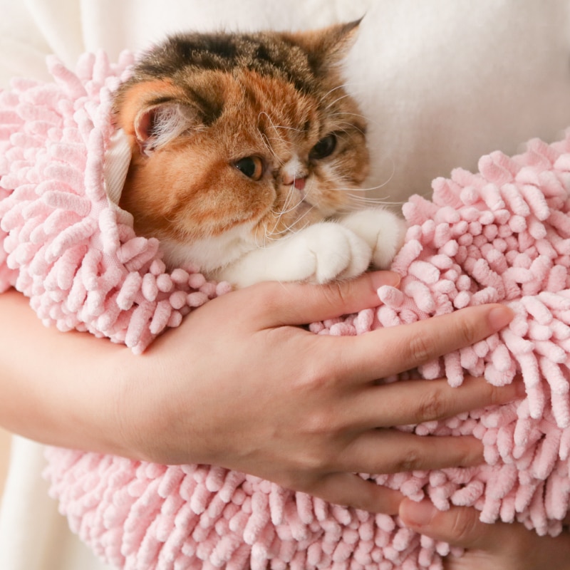 Sl hund torr handduk filt litet litet stort djur superabsorberande husdjurs torkhandduk katt mjuk badmatta skötselprodukt yorkov