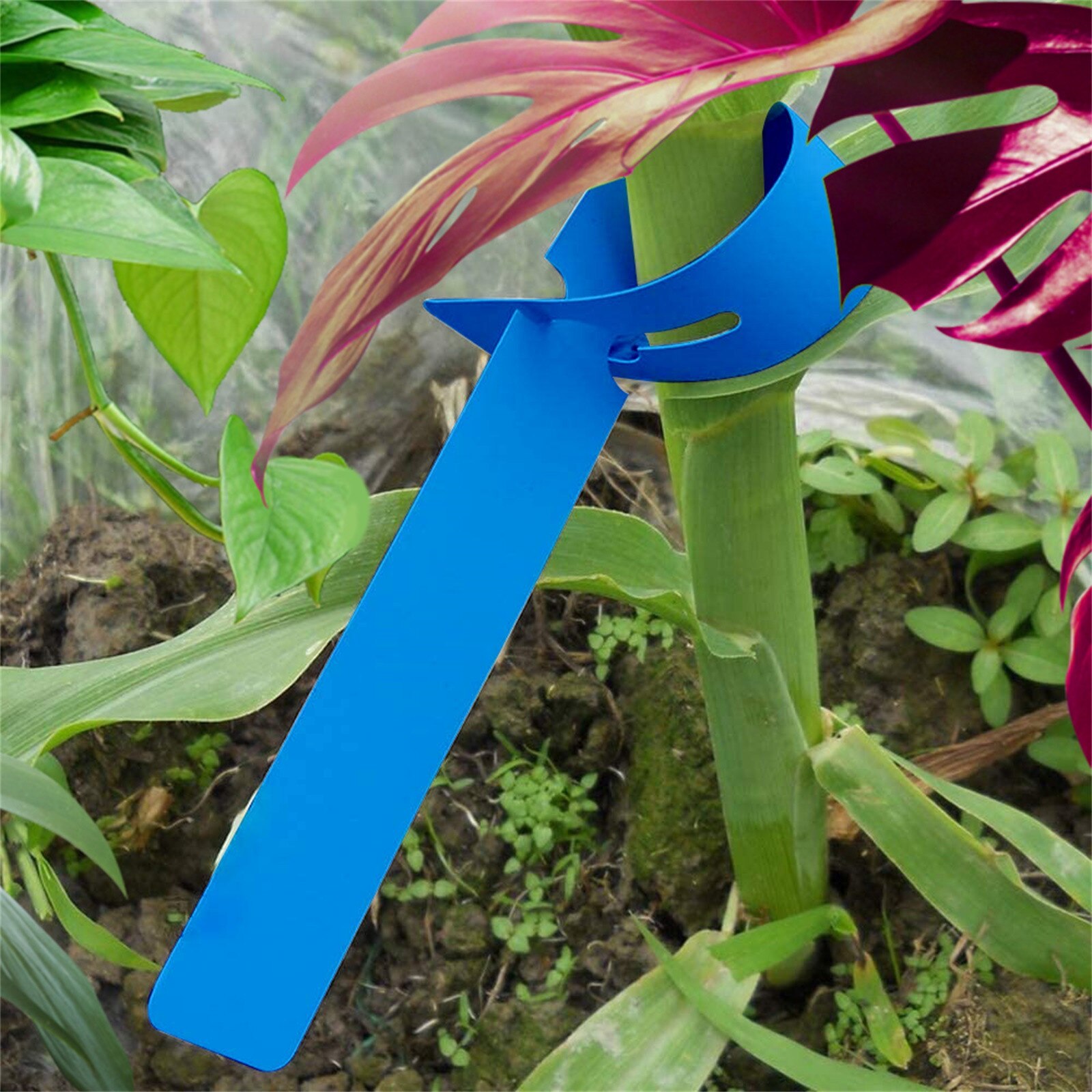 200PC Gardening Label Long Label Plastic Plant Long Type Label Marking Seedling Tray Gardening Label Gardening Label Long Label