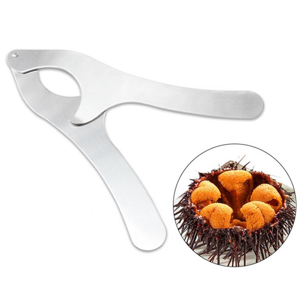 Ciseaux à oursin de mer en acier inoxydable, haute dureté, Anti-déformation, coupe-oursin de mer robuste pour la maison