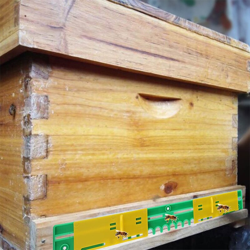 Salida de ventilación de nido de colmena, Herramientas de apicultura para puerta de entrada anti-abejas, 5 uds.