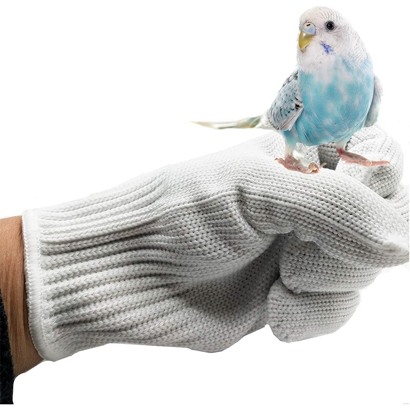 Guantes antimordeduras para entrenamiento de aves, protectores de seguridad para masticar loros, manejo de animales pequeños, para cacatúas