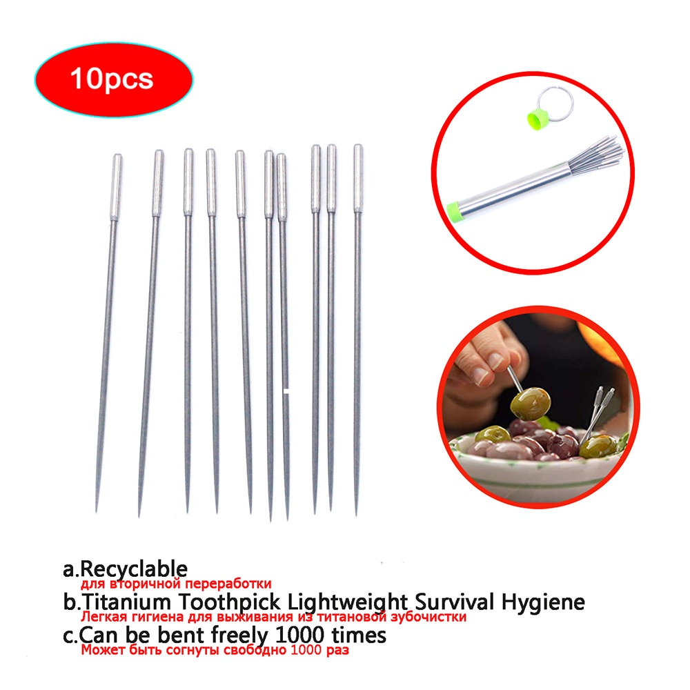 10Pcs Keuken Outdoor Rvs Metalen Titanium Tandenstoker Herbruikbare Voedsel Fruit Vork Met Carry Case Voor Travel Camping