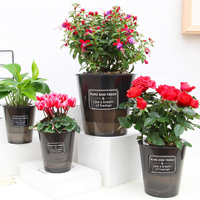 Selbstbewässernder blumentopf aus keramikimitat, automatische wasseraufnahme, pflanzung, schwarze, durchscheinende blumentöpfe