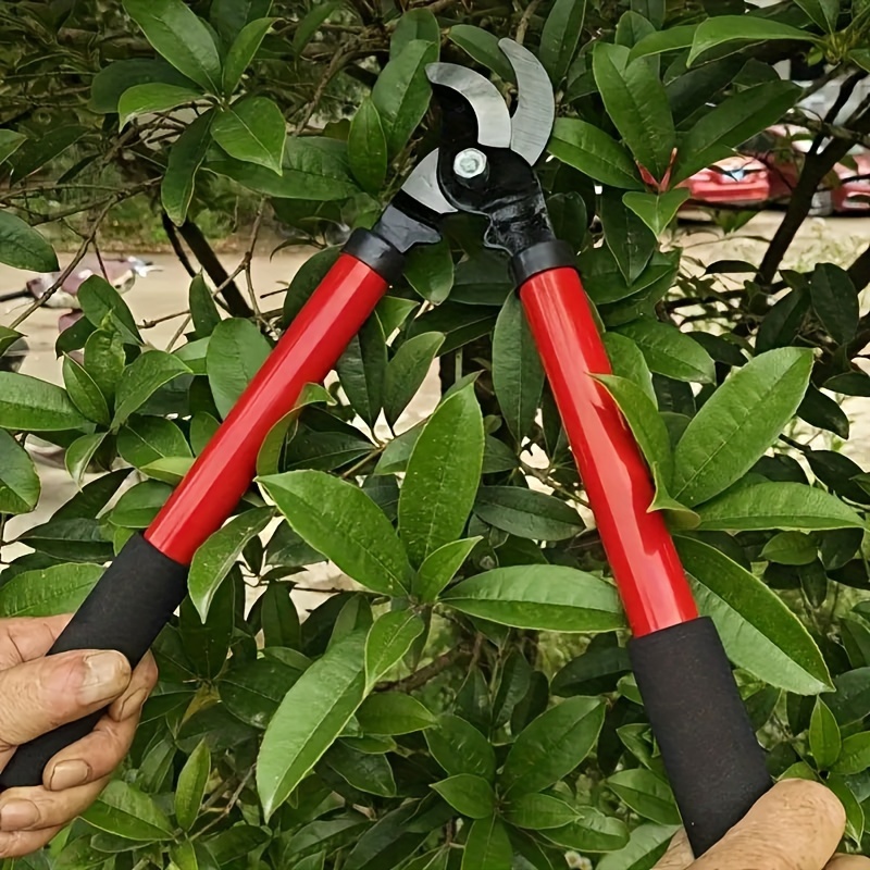 Tijeras de podar portátiles para plantas de jardín, equipo de poda para el hogar, tijeras de ramas gruesas, herramientas de jardinería manuales, 1 paquete