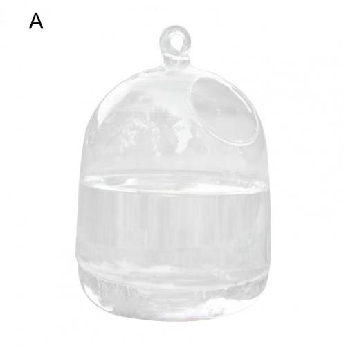 Durable Hanging Fish Tank Glass Vase Fishbowl Hanging Transparent Hanging Fishbowl for Living Room: A