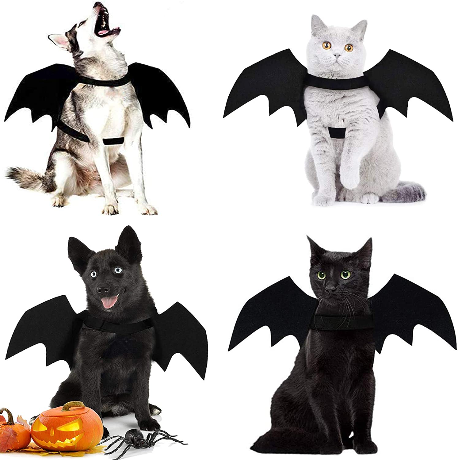 Halloween kattdräkt för katter hundar sällskapsdjur fladdermusvingar katt hund fladdermus kostym vingar (små)klä upp sällskapsdjur tillbehör fest sällskapsdjur kostym