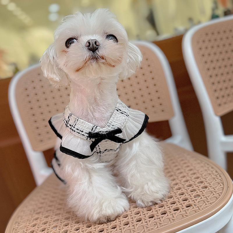 Spring/Summer Pet Checkered Strap Skirt Cute Dress Dog/Cat Clothing Style Traction Set with Traction Rope Dog Harness Puppy