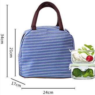 Fiambrera para refrigerador térmico aislado portátil para hombres, mujeres y niños, bolsa de almacenamiento para pícnic, bolsa de transporte Oxford resistente al agua, 1 unidad: blue