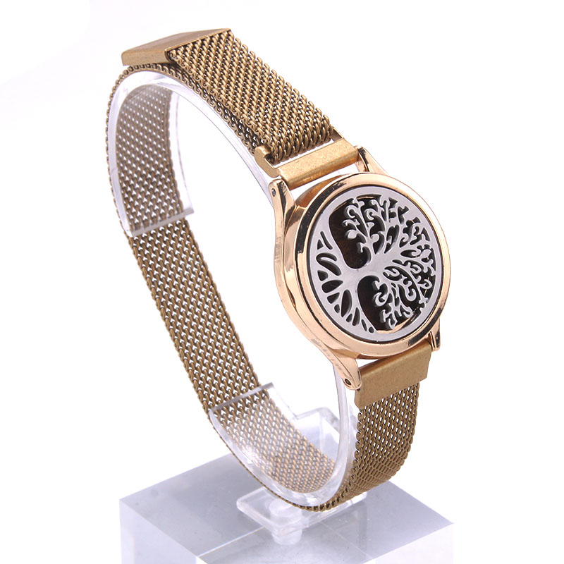 Aromatherapie Armband Rvs Medaillon Armband Horloge Polsbandje Essentiële Olie Aroma Parfum Medaillon Diffuser Armband: B2767-5