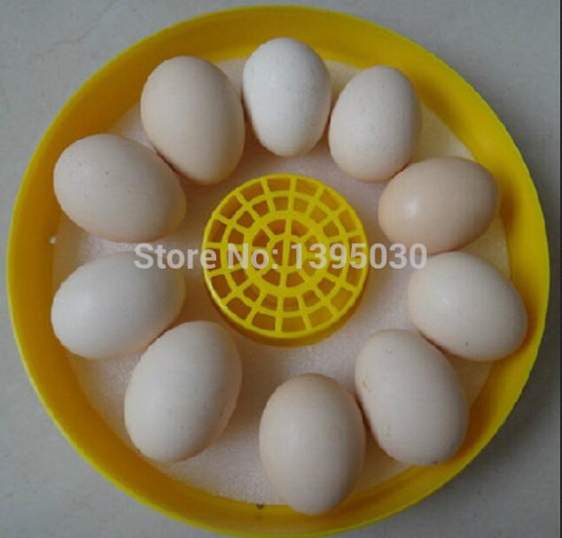 10 Eggs Mini Egg Incubator Egg Candler Poultry Hatcher Chicken Goose Quail Duck JANOEL-10