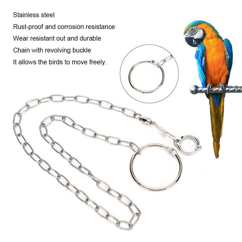 Papegaai Rvs Voet Ring Ketting Opening Activiteit Ring Voor Lovebird Valkparkiet Parkiet Vogel Stand Enkelband