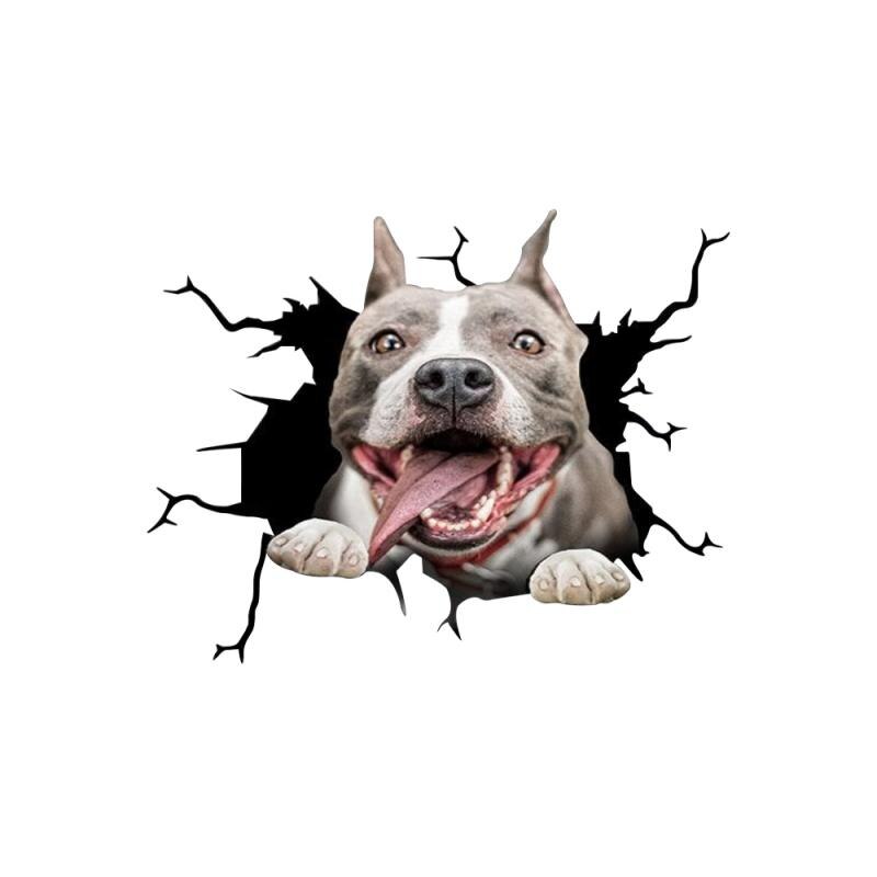 Dog Crack Car Sticker Home Car Wall Windows Decora... – Vicedeal