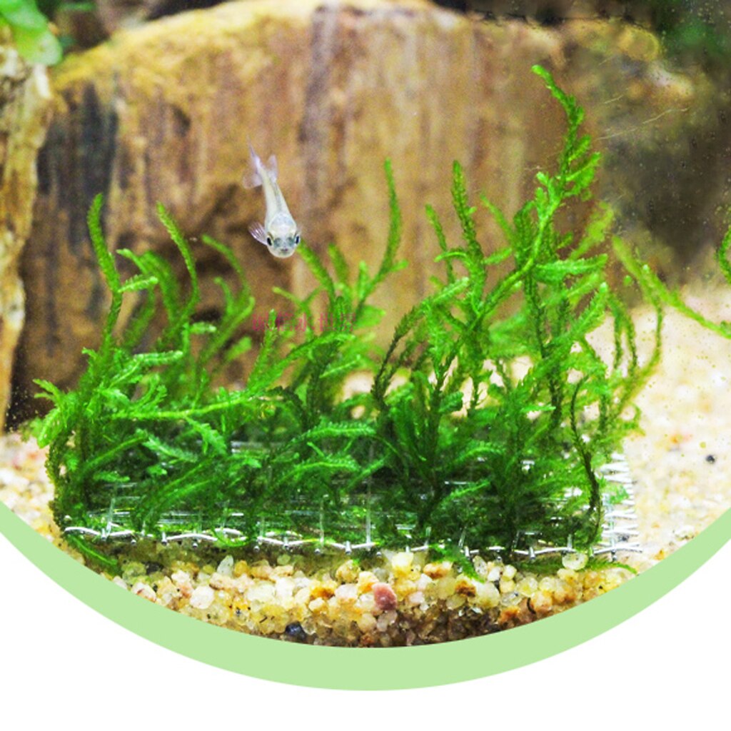 10x Rvs Aquarium Plant Netto-Hechten Moss Mesh Pad Live Plant Fish Tank