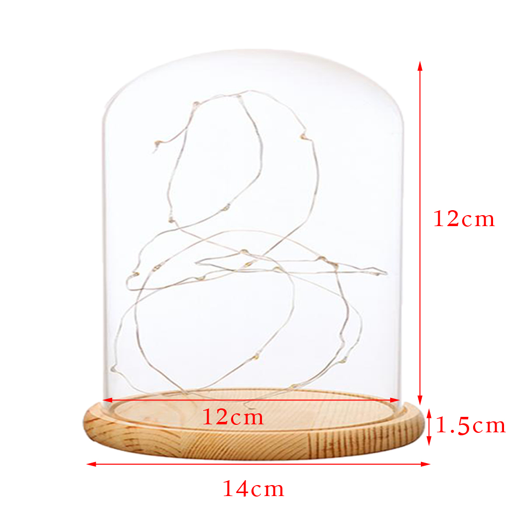 Luces LED con batería, Base de madera, campana de cristal transparente, decoración de mesa, planta, florero, contenedor, paisaje DIY en miniatura: Caqui oscuro