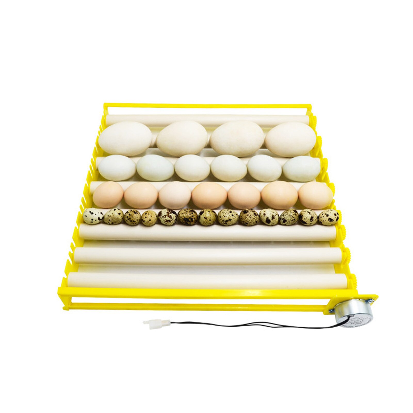 Bandeja giratoria para incubadora de huevos, equipo de incubación de aves de corral, pollos, patos y otras incubadoras de aves de corral, gira automáticamente los huevos, 56 Uds.