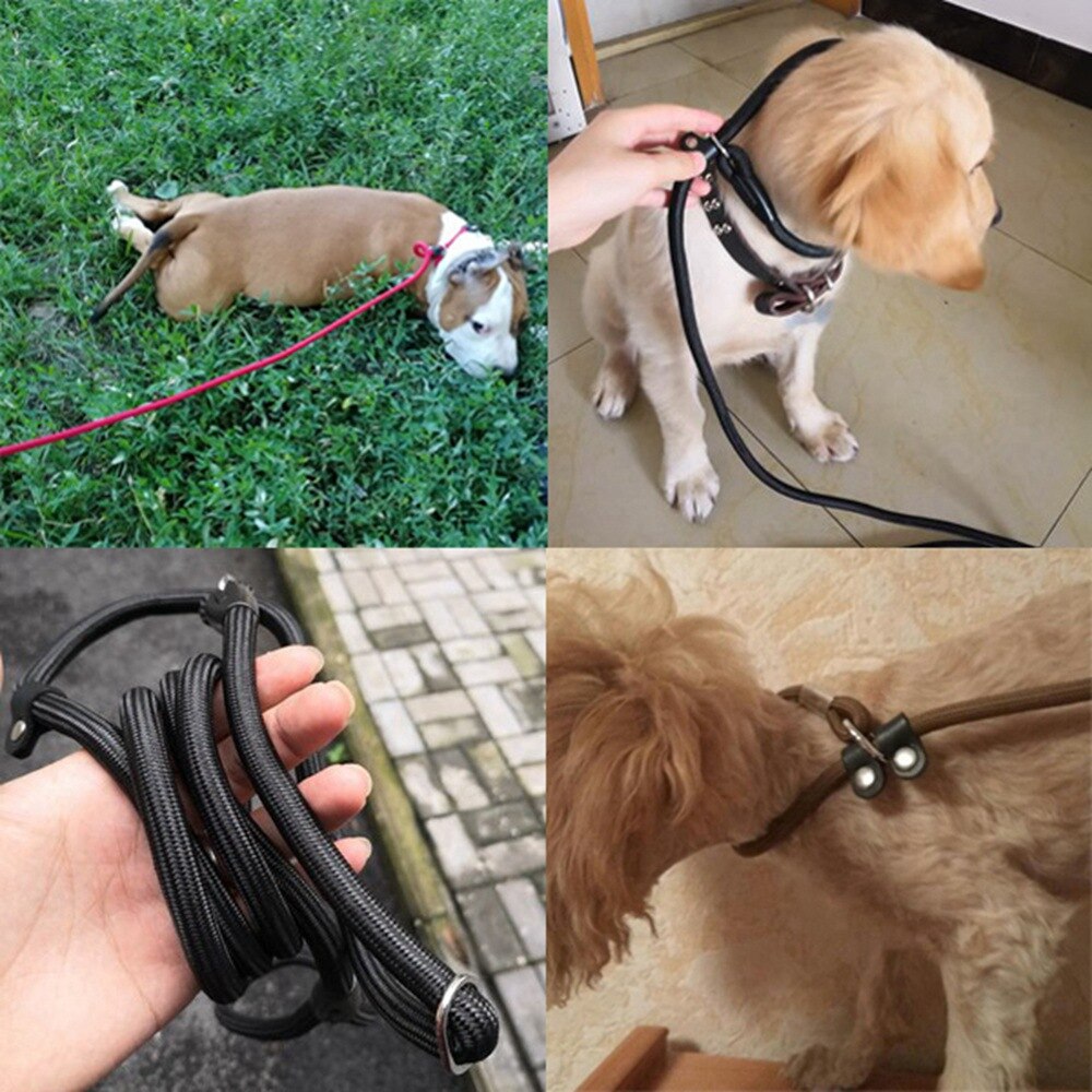 Haustier Hund Leine Seil Für Kleine Mittel groß Hund Katze Blei Welpe Leine Chihuahua dauerhaft Haustier Leinen nutzbar machen Hund-kragen Haustier Produkte