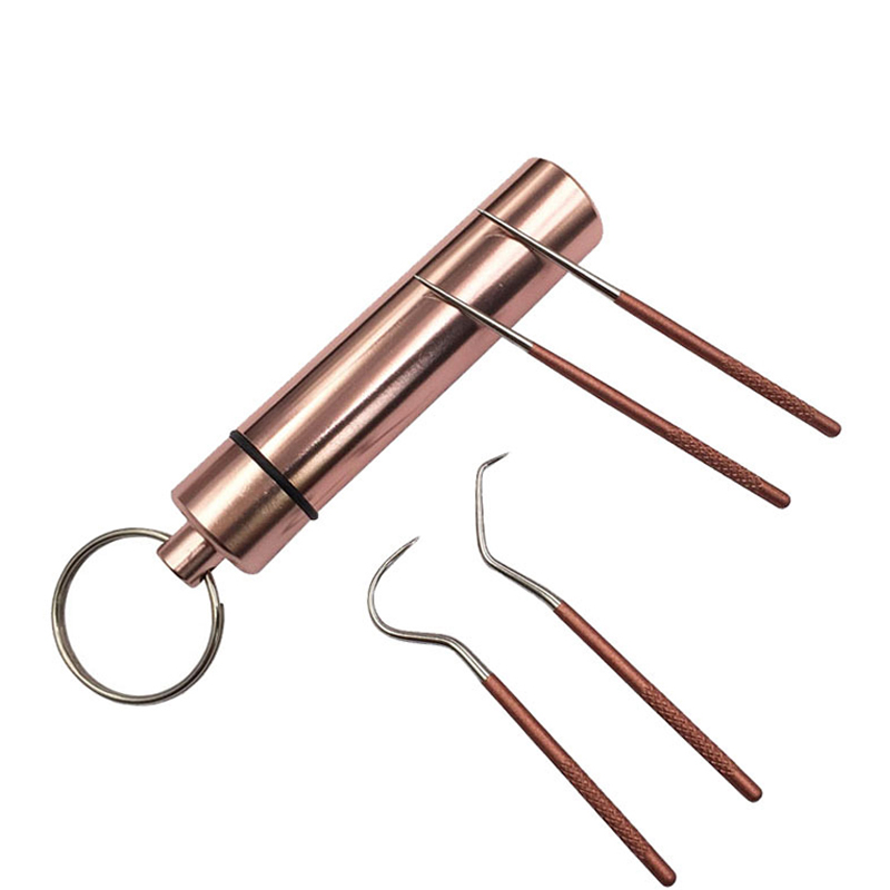Juego de hilo Dental de Metal de acero inoxidable para limpieza Oral, artefacto portátil colgante, tubo de palillo de dientes, hilo Dental más fuerte, 1 Juego: Blanco