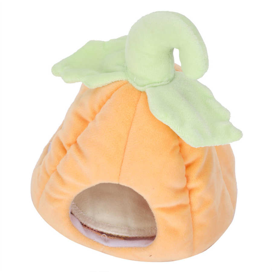 Kleine Huisdier Houden Warm Huis Cavia Chinchilla Egel Hamster Pompoen Katoen Nest