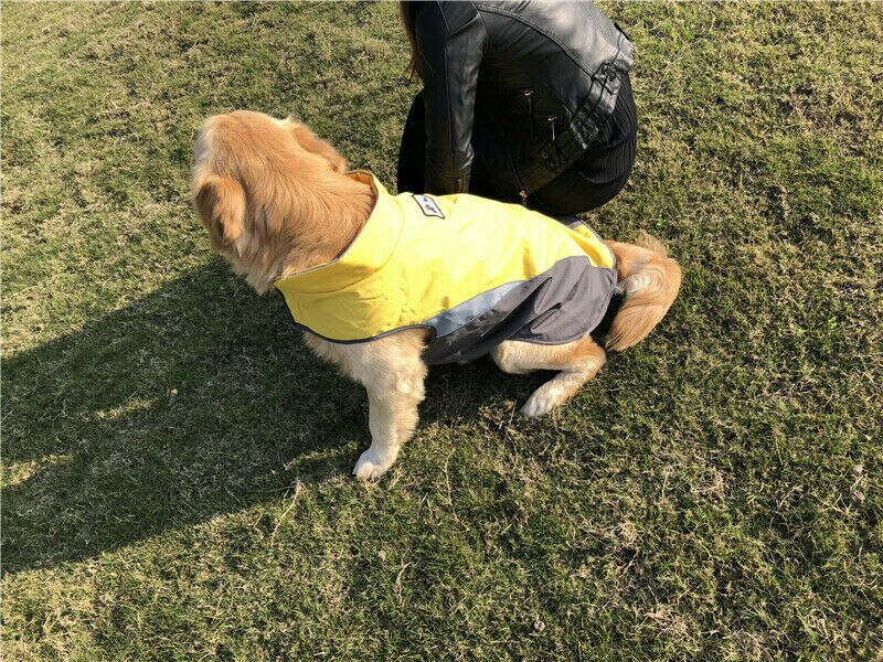DAIHAN Mascota Perro Otoño Invierno Ropa De Abrigo Chaleco