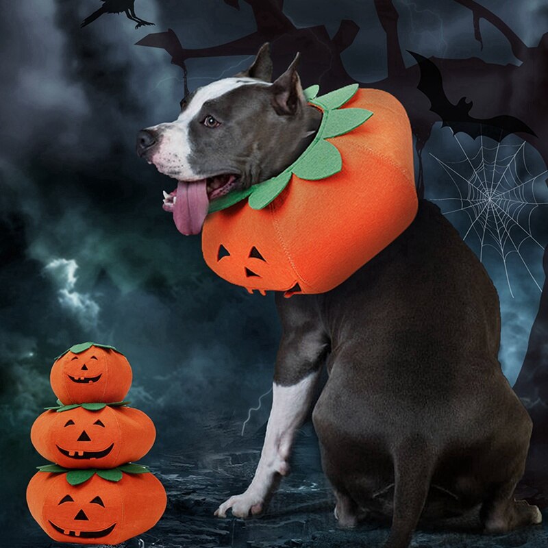 2020collares para mascotas, calabaza de Halloween para gatos, perros pequeños, bonitos accesorios para mascotas, Cute Neckband para gato, cachorro, vestido