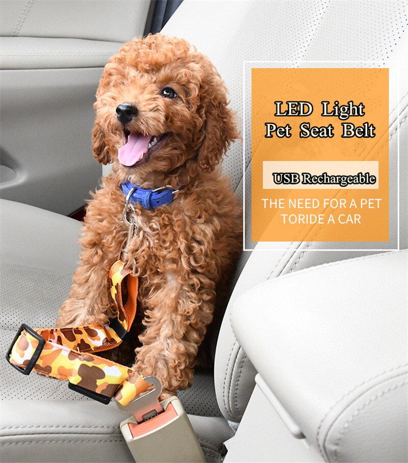 B51 LED pet seat belt nylon hond trekkabel hond autogordels