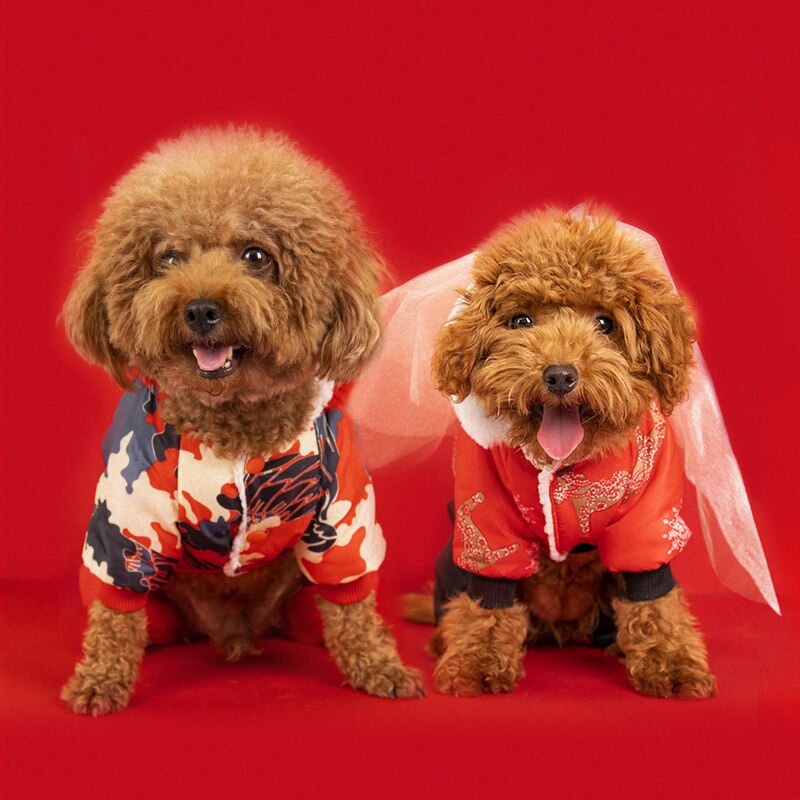 Kall vinter xxl hunddräkter butik på husdjur jumpsuit för tax shih tzu mops yorkie små djurkläder produkter