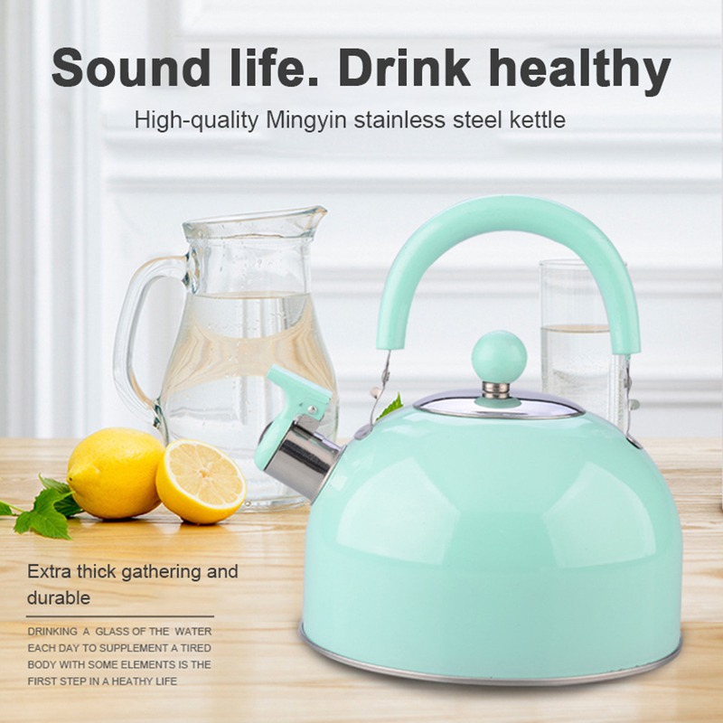 Bouilloire en acier inoxydable 2.5L Portable épaissi couleur intestinale dôme plat cuisinière à gaz bouilloire ménage maison cuisine moderne chaude