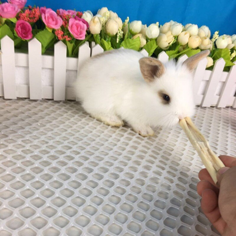 5pcs Pet Hamsters Snacks Sweet Bamboo Chew Toy for Squirrel Rabbits Guinea Pigs Chinchilla Hamster