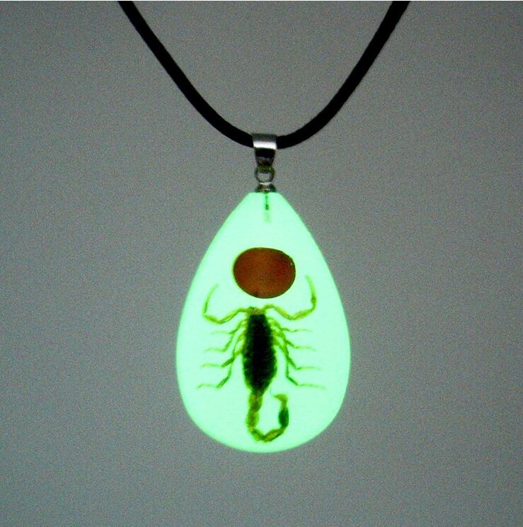 Resin Insect Charms Necklace Luminous Insects Amber Pendant Rope Necklaces Scorpion Ant Stalls Manufacturers