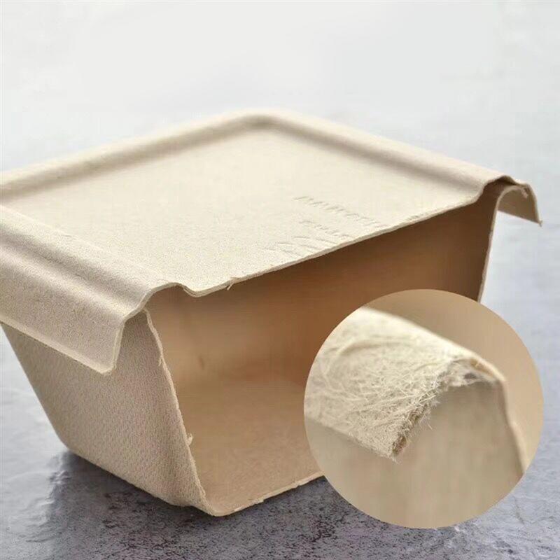 5PCS 800ML Three-Grid Food Containers Disposable Pulp Lunch Box Biodegradable Takeout Box Eco-Friendly Doggy Boxes With Lid