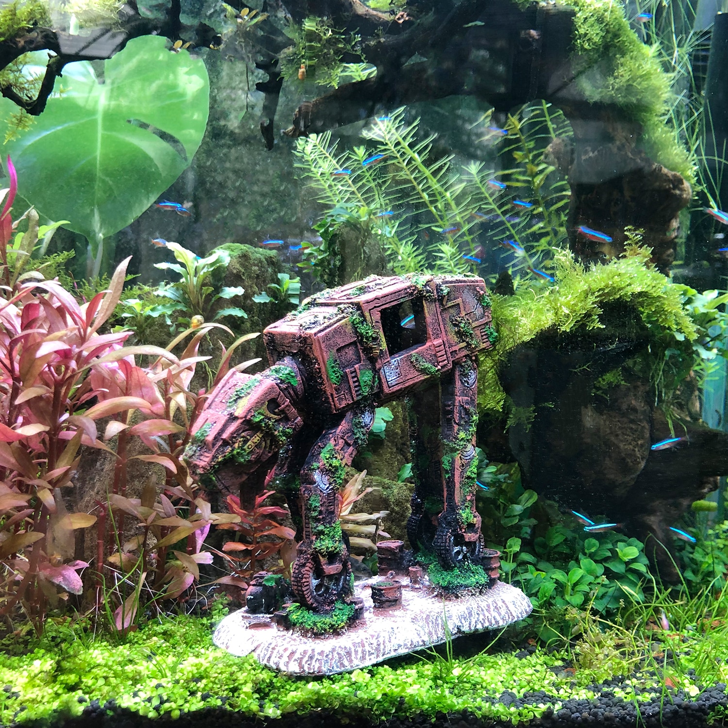 Accesorios para peceras Betta, cueva de peces, decoración de Acuario, adornos temáticos, Robot, perro